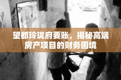 望都玲珑府要账，揭秘高端房产项目的财务困境