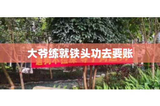 大爷练就铁头功去要账