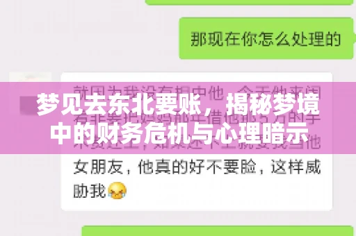 梦见去东北要账，揭秘梦境中的财务危机与心理暗示