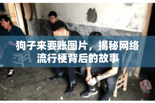 狗子来要账图片，揭秘网络流行梗背后的故事