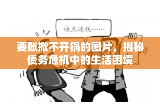 要账掀不开锅的图片，揭秘债务危机中的生活困境