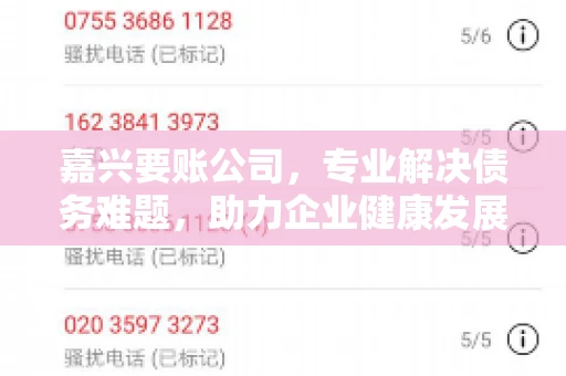嘉兴要账公司，专业解决债务难题，助力企业健康发展