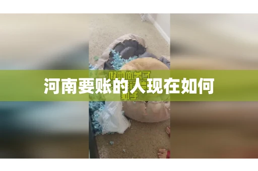 河南要账的人现在如何