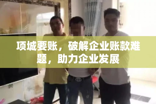 项城要账，破解企业账款难题，助力企业发展