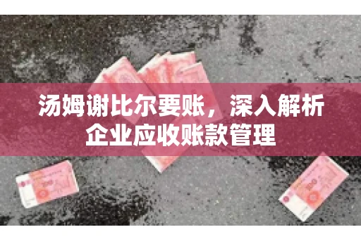 汤姆谢比尔要账，深入解析企业应收账款管理