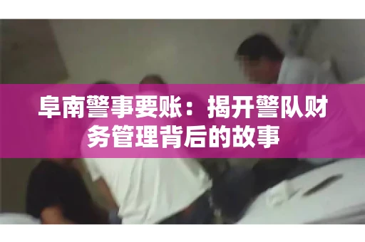 阜南警事要账：揭开警队财务管理背后的故事