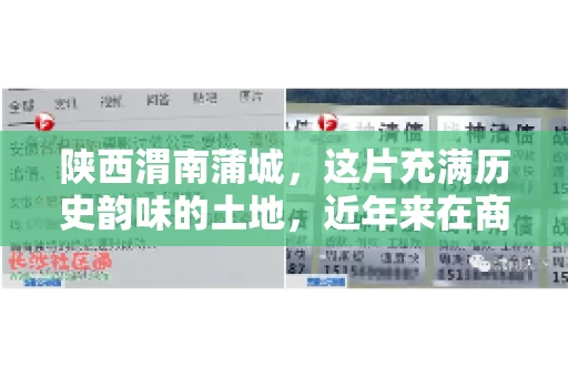 陕西渭南蒲城，这片充满历史韵味的土地，近年来在商业活动中也展现出了其独特的活力。其中，关于“陕西渭南蒲城要账”的话题，成为了不少企业关注的焦点。今天，我们就来聊聊这个话题，看看在蒲城，要账的那些事儿。
