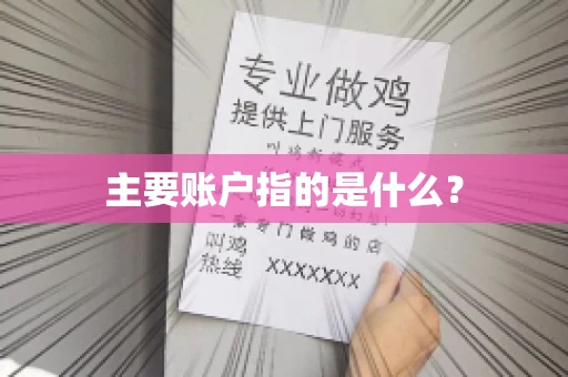 主要账户指的是什么？