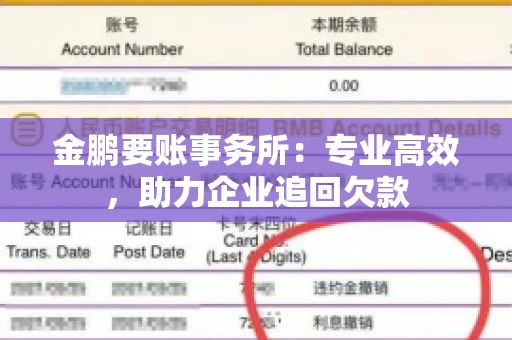 金鹏要账事务所：专业高效，助力企业追回欠款