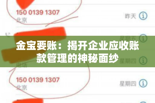 金宝要账：揭开企业应收账款管理的神秘面纱