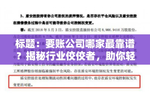 标题：要账公司哪家最靠谱？揭秘行业佼佼者，助你轻松追回欠款