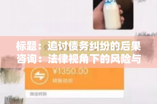 标题：追讨债务纠纷的后果咨询：法律视角下的风险与应对