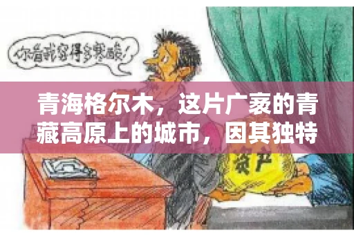 青海格尔木，这片广袤的青藏高原上的城市，因其独特的地理位置和丰富的自然资源而闻名。然而，对于一些借款人来说，这里可能因为逾期还款而接到催收电话。那么，青海格尔木的催收电话是哪家公司的呢？今天，我们就来聊聊这个话题。