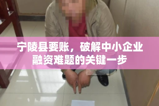 宁陵县要账，破解中小企业融资难题的关键一步