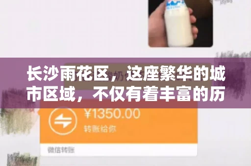 长沙雨花区，这座繁华的城市区域，不仅有着丰富的历史文化，还有着繁忙的金融活动。其中，催收公司作为金融行业的一个重要组成部分，在这里也有着不少的身影。那么，长沙雨花区都有哪些催收公司呢？今天，我们就来聊聊这个话题。